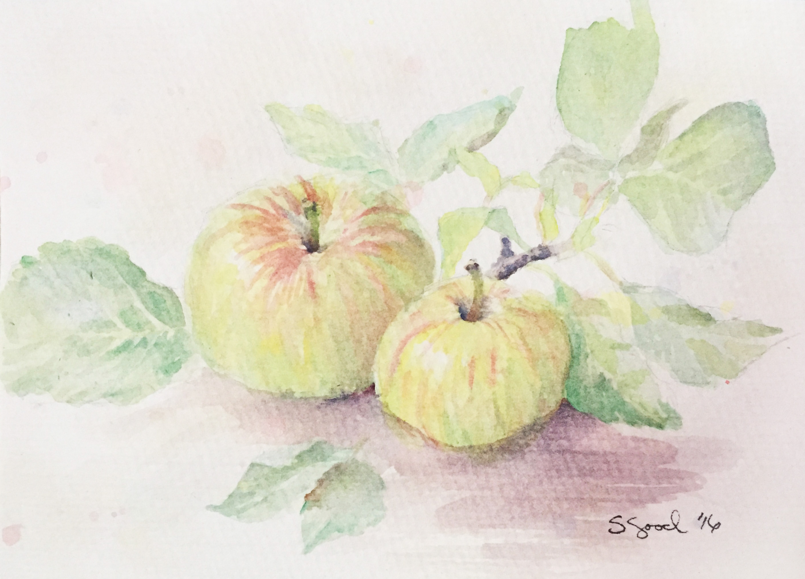 Apples | Private Collection