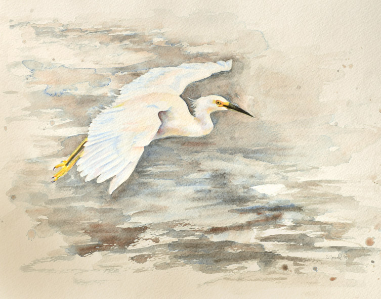 Taking Flight | $230  | watercolor